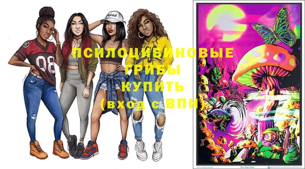 прущая мука Карпинск