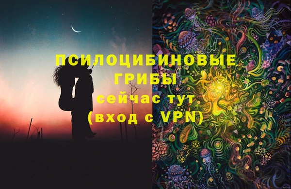 прущая мука Карпинск