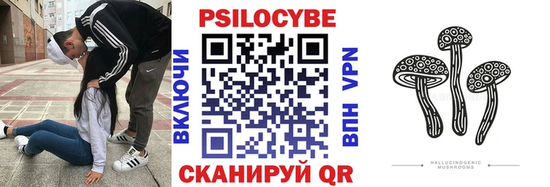 Псилоцибиновые грибы GOLDEN TEACHER  Купить закладки  Добрянка 